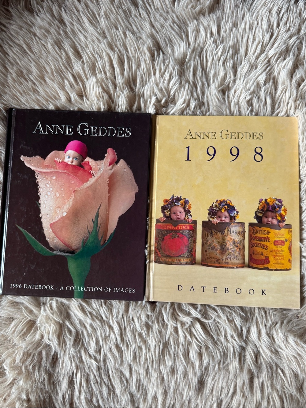 Anne Geddes Datebook Pair - Pink & Cream Covers